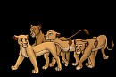 Sarabi and Sisters