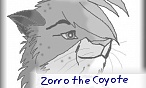 Zorro the Coyote