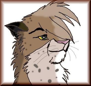 Deni the Cheetah