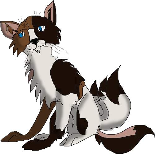 CatWhoHas!4Tails