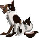 CatWhoHas!4Tails