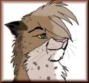 Deni the Cheetah