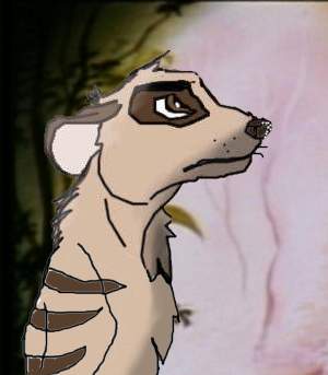 Banjo - Father of Timon