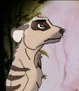 Banjo - Father of Timon