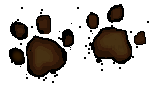 Lions