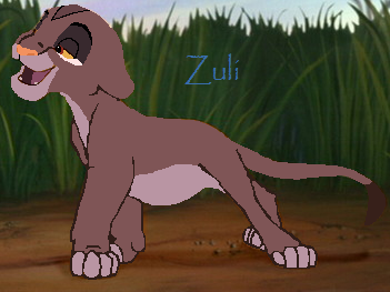Detail Zuli