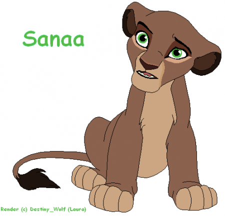 Detail Sanaa (TT)