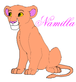 Detail Namilla