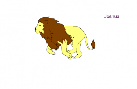 Detail Joshua