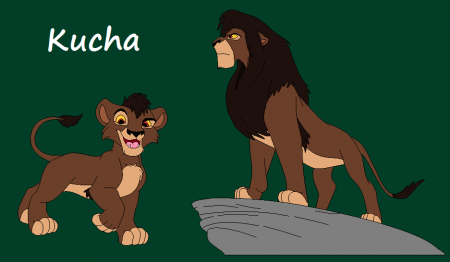 Detail Kucha