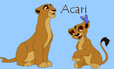 Detail Acari
