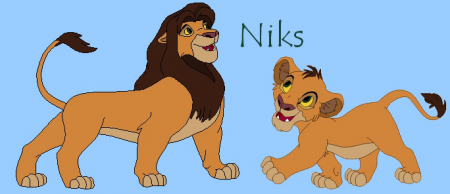 Detail Niks