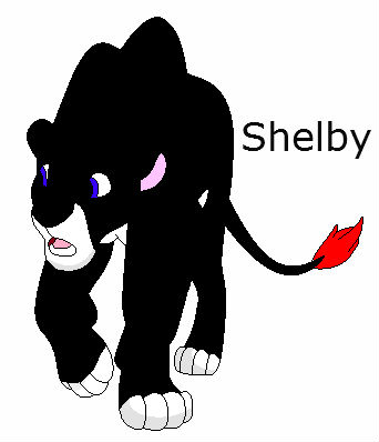 Detail Shelby (Twilight16)
