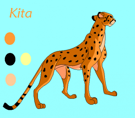 Detail Kita (Kip')