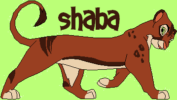 Detail Shaba (Kip')