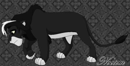 Detail Noctem