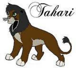 Detail Tahari