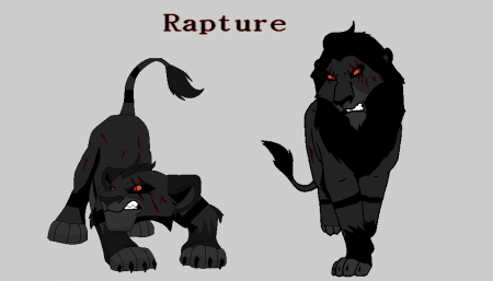 Detail Rapture