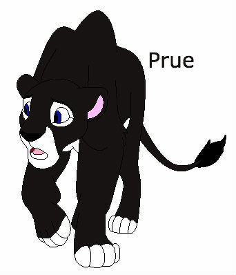 Detail Prue