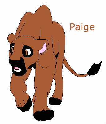Detail Paige