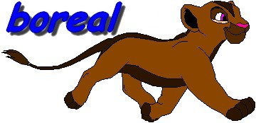 Detail Boreal