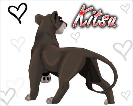 Detail Kitsu (Mk)