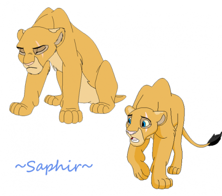 Detail Saphir (Link_Zelda)