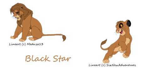 Detail Black Star (Link_Zelda)