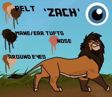 Detail Zach