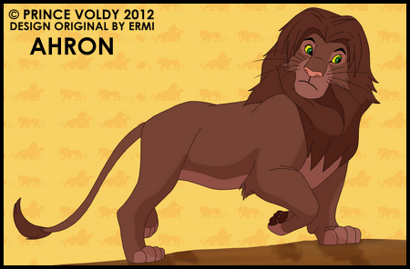 Detail Ahron (Prince Voldy)