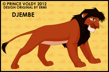 Detail Djembe (Prince Voldy)