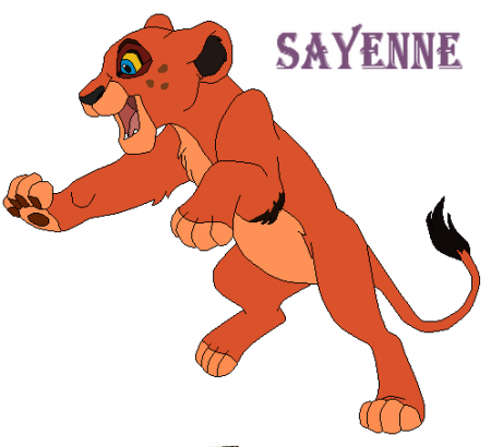 Detail Sayenne