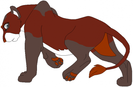 Detail Kaara ( By Cookies )