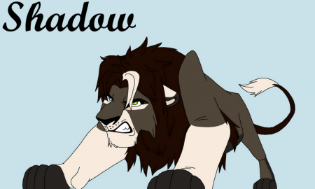 Detail Shadow (Lou)