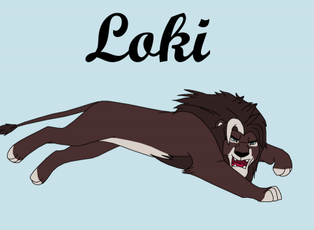 Detail Loki (Lou)