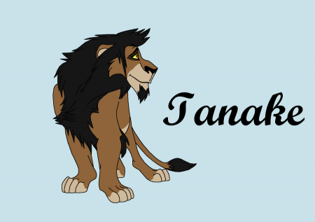 Detail Tanake (Lou)