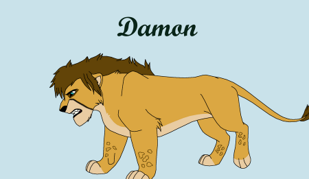 Detail Damon (Lou)