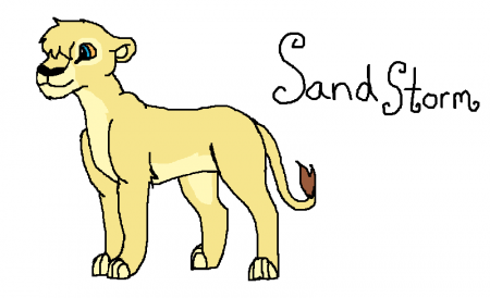 Detail Sandstorm