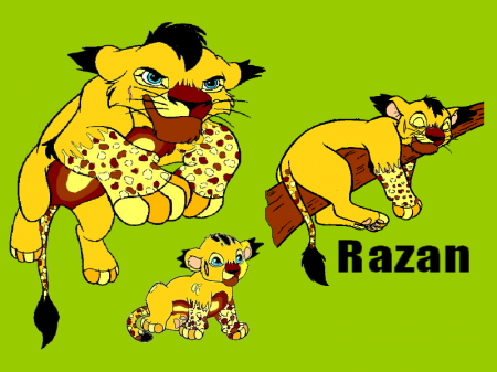 Detail Razan