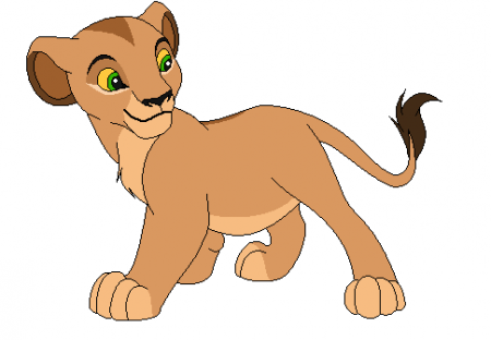 Detail Zara (NC95)