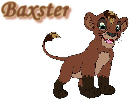Detail baxster