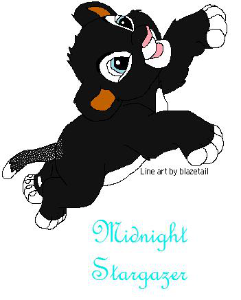 Detail Midnight Stargazer