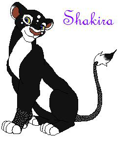 Detail ~Shakira~