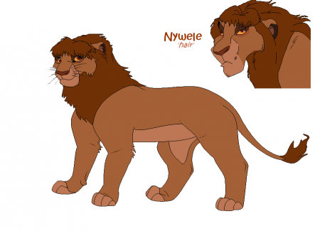 Detail Nywele