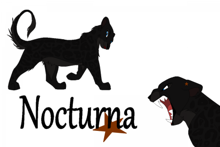 Detail Nocturna