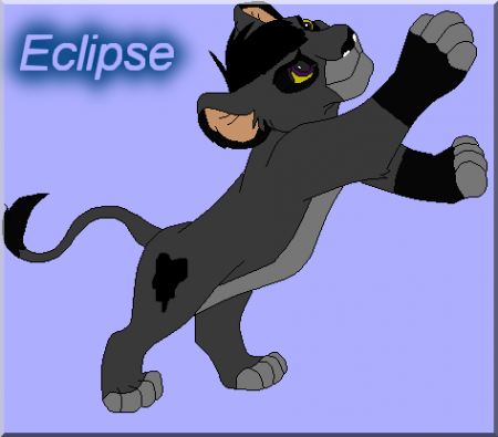Detail Eclipse (Shaymiin)