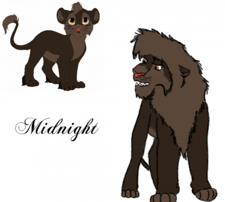 Detail Midnight ( Ash ) 