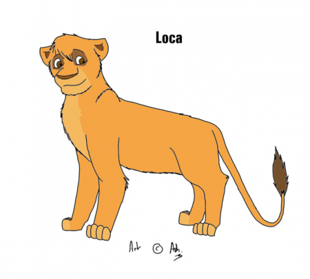 Detail Loca (Loca63furso)