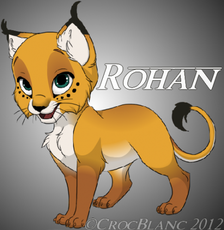 Detail Rohan 