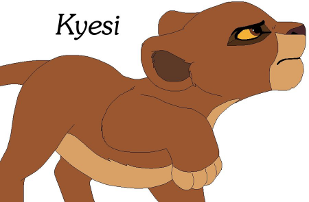 Detail Kyesi